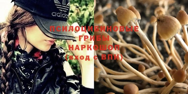 стаф Белоозёрский