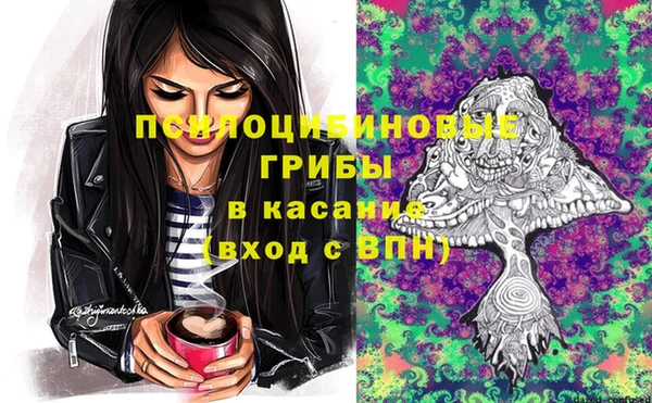 стаф Белоозёрский
